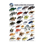 Australia Fish Card