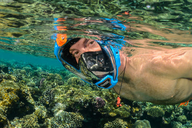 ARIA QR+ FULL FACE SNORKELING MASK