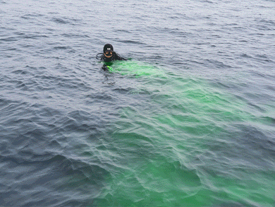 Pandora Lab K1 Rescue Torch with Distress Marker Paint